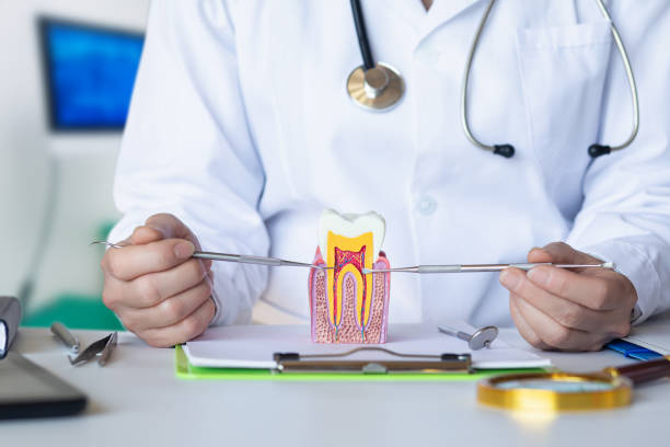 Best Emergency Treatment for Oral Infections in Evanston, IL